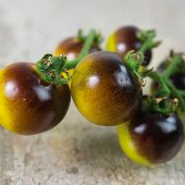 Indigo Gold Berries (Cherry) Tomato