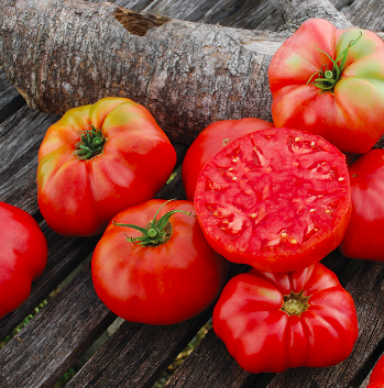 Dester Tomato (Beefsteak) - 1 gal