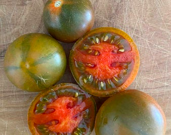 Evil Olive Tomato (Oxheart)