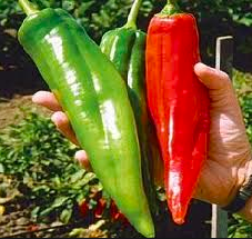 Numex Big Jim Pepper