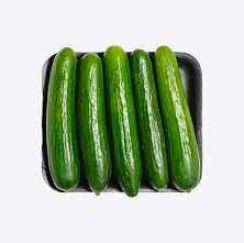 Cucumber &#39;Cucino&#39; (Persian)  4&quot;