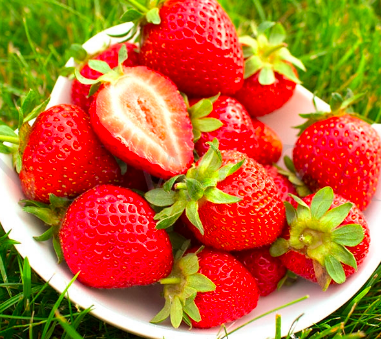 Strawberry &#39;San Andreas&#39; - 4&quot;