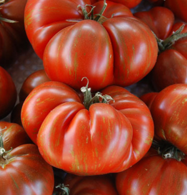 Black &amp; Brown Boar Tomato