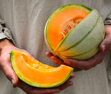 Charantais Melon - 4&quot;