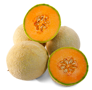 Melon &#39;Sugar Cube&#39; - 4&quot;