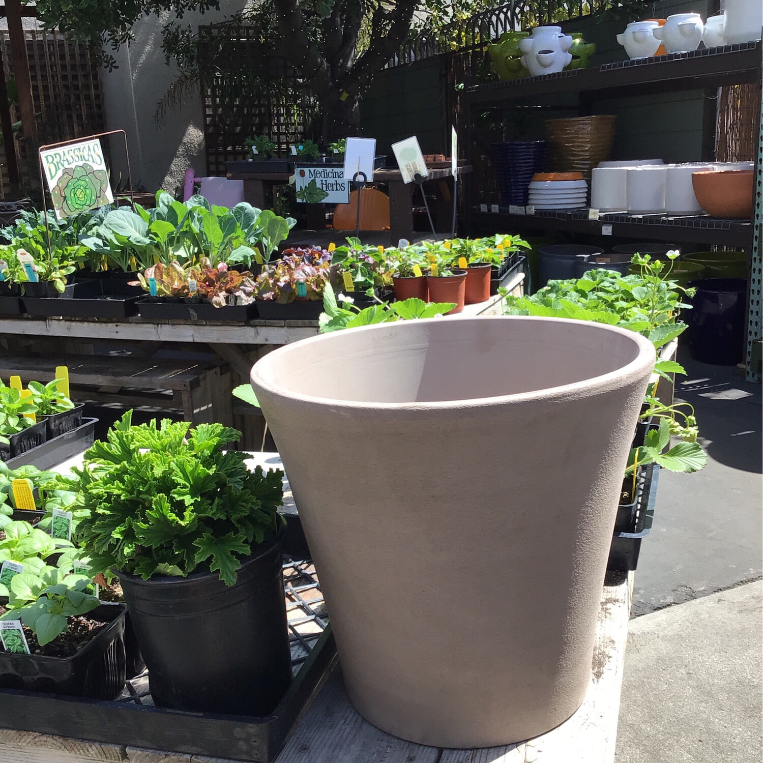 Cone Pot - Graphite - 14.2&quot;/36cm