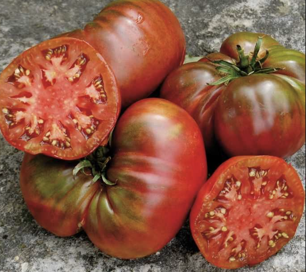 Black Sea Man Tomato Seeds