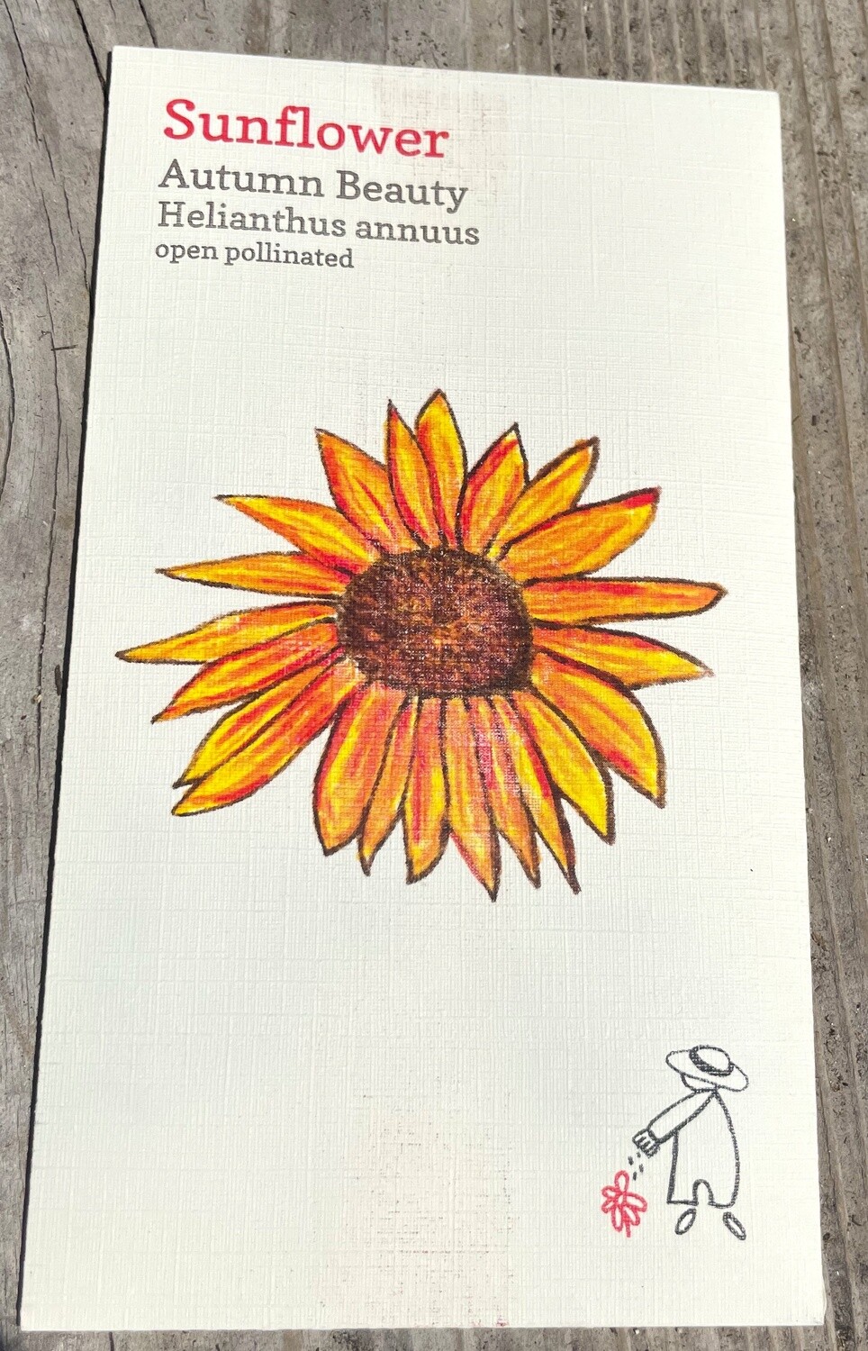 Sunflower Autumn Beauty Seeds