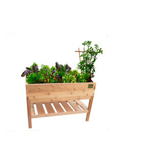 Elevated Table Garden - 2&#39; x 4&#39; x 36&#39;&#39;