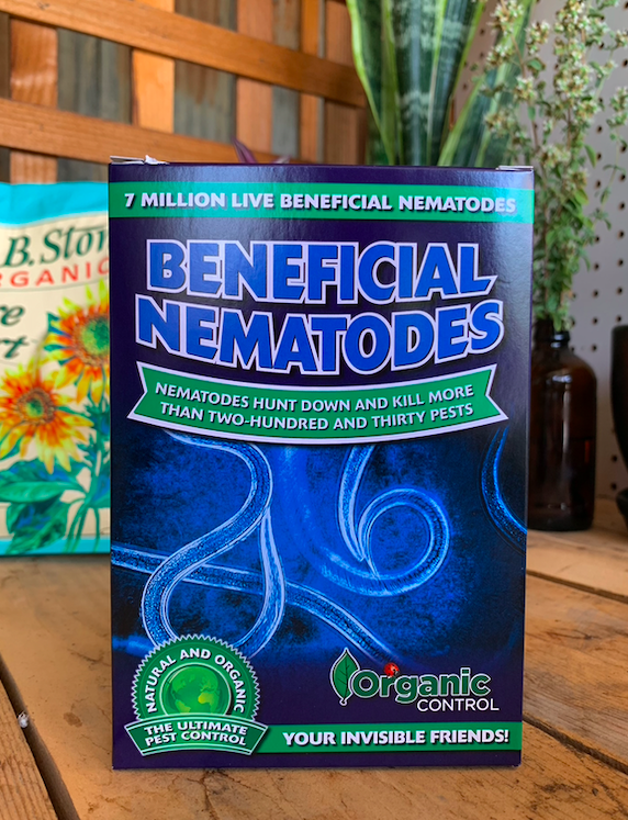 Beneficial Nematodes (7 million)