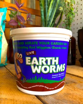 Earthworms 1/2 cup