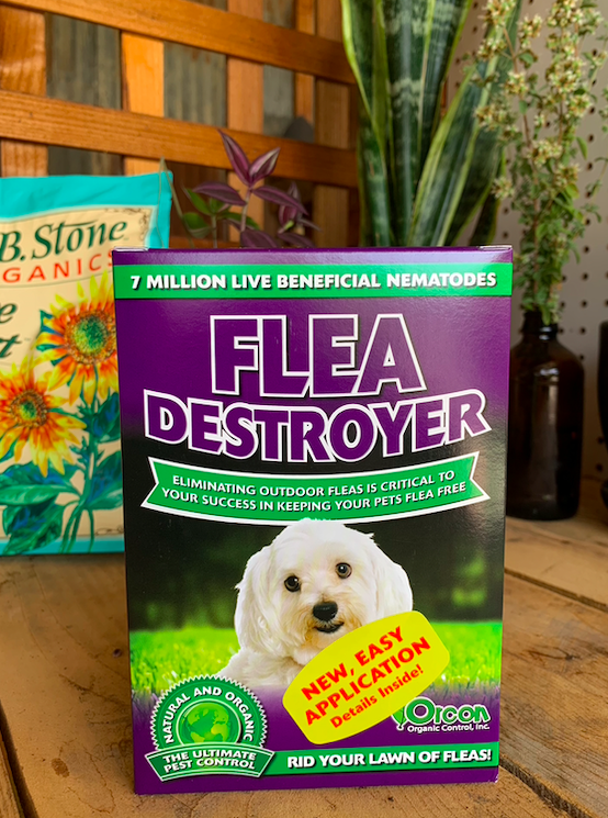 Flea Destroyer (7 million)