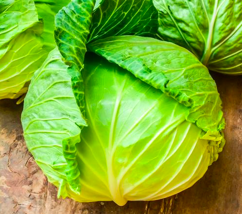 Brunswick Cabbage