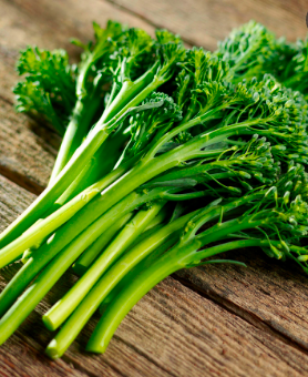 Broccolini &#39;Aspabroc&#39; OG - 4&quot;