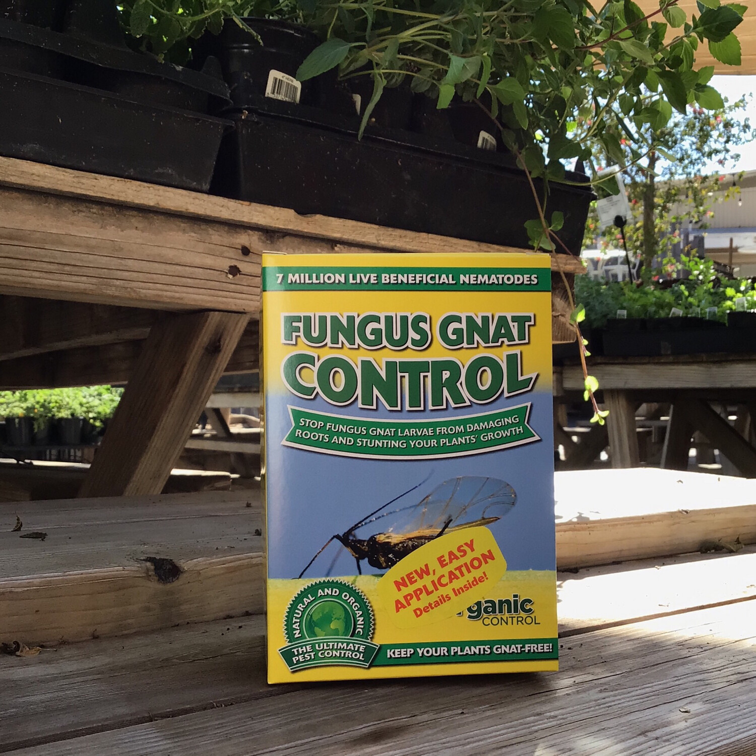 Fungus Gnat Control (7 million)
