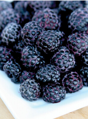 Raspberry &#39;Jewell Black&#39; - 1g