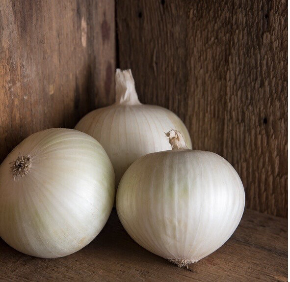 Onion &#39;Sierra Blanca&#39;- 6pk