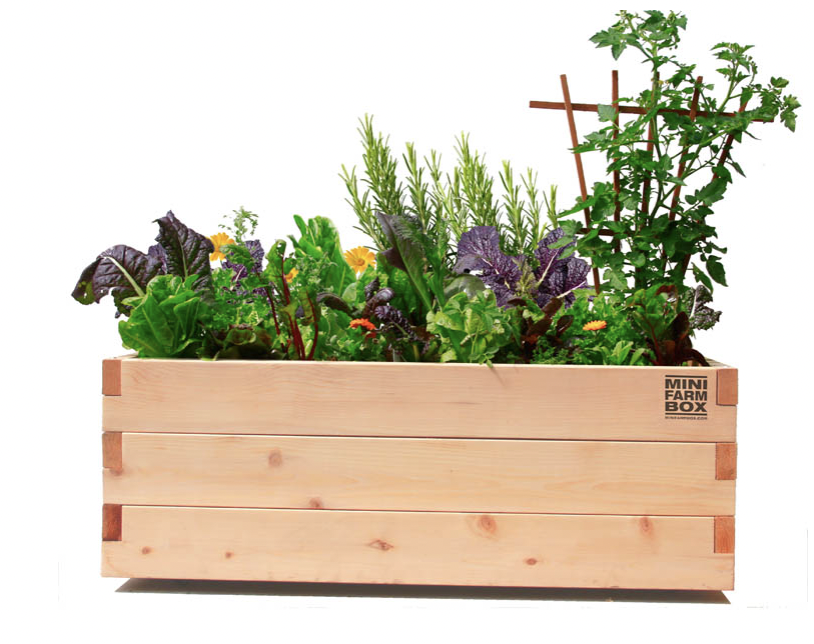 Rolling Patio Box - 2&#39; x 4&#39; x 18&#39;&#39;