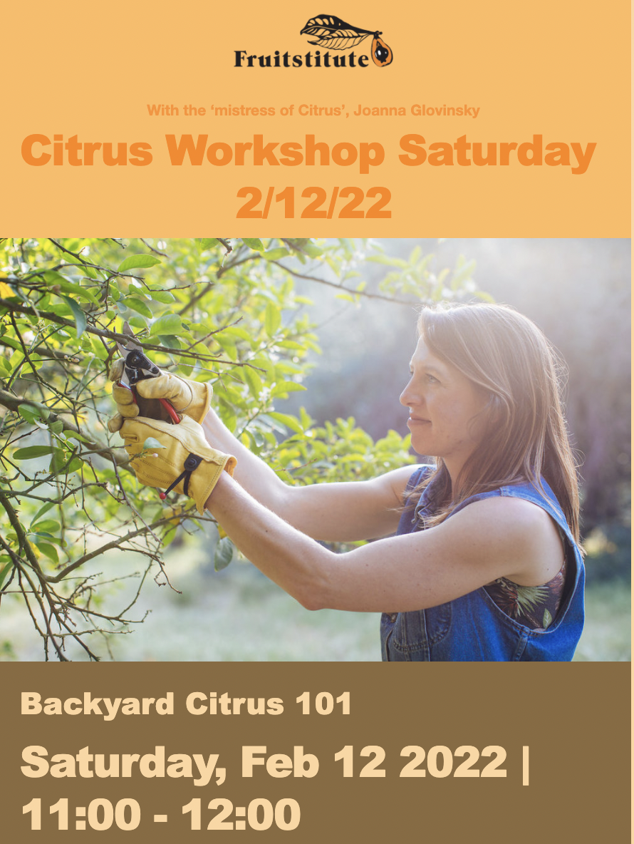 Backyard Citrus 101