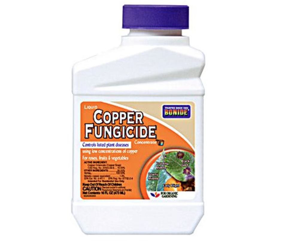 Captain Jack&#39;s Liquid Copper Concentrate - 16 fl oz