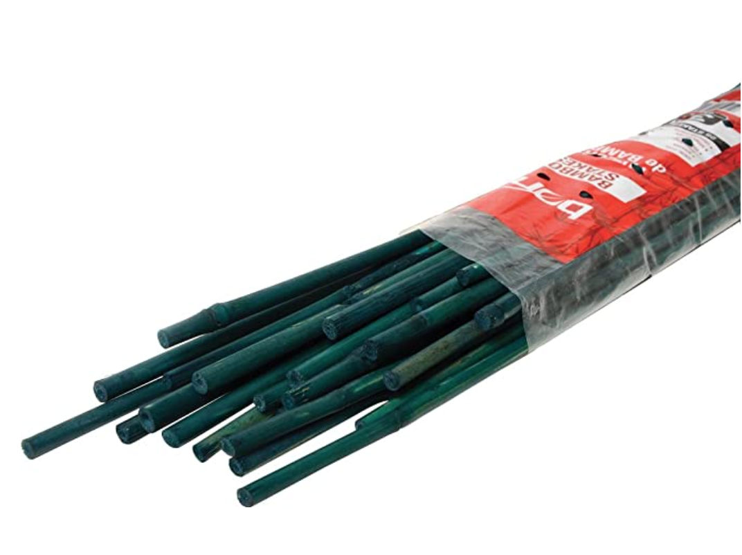 Bond 6&#39; Bamboo - 6 pack