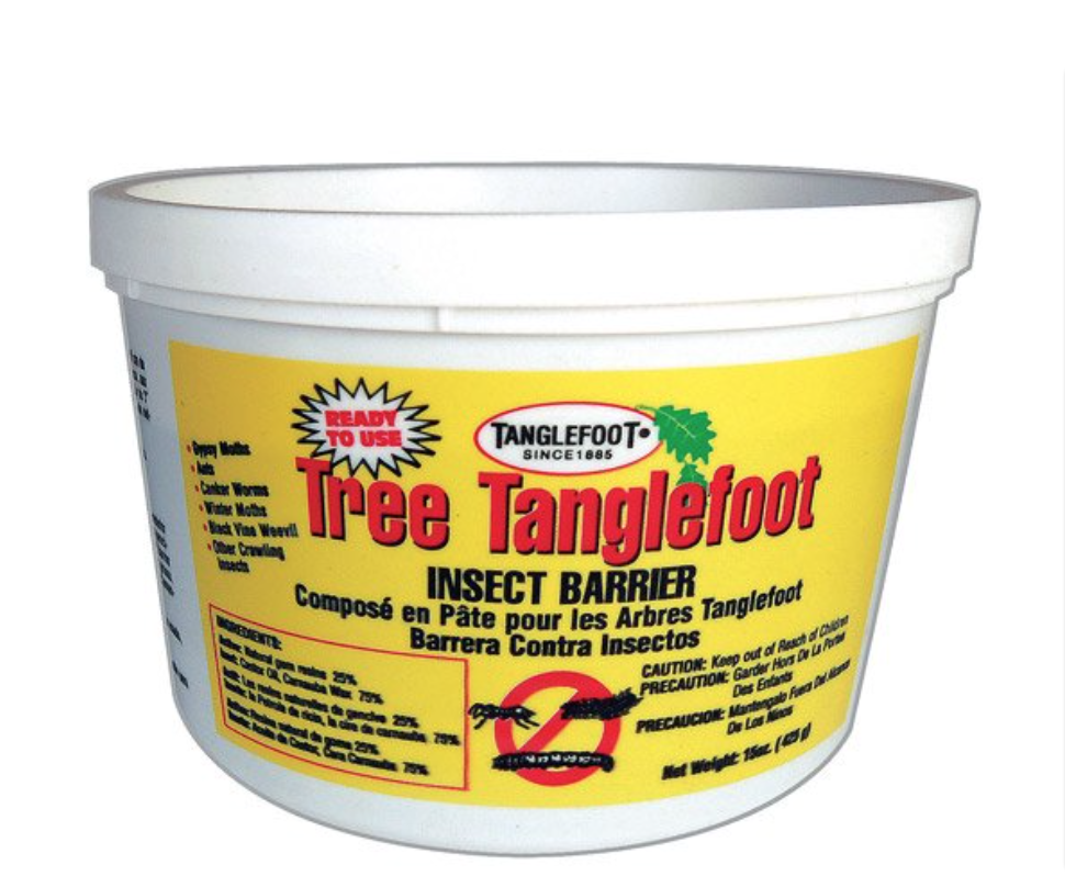 Tanglefoot Insect Barrier