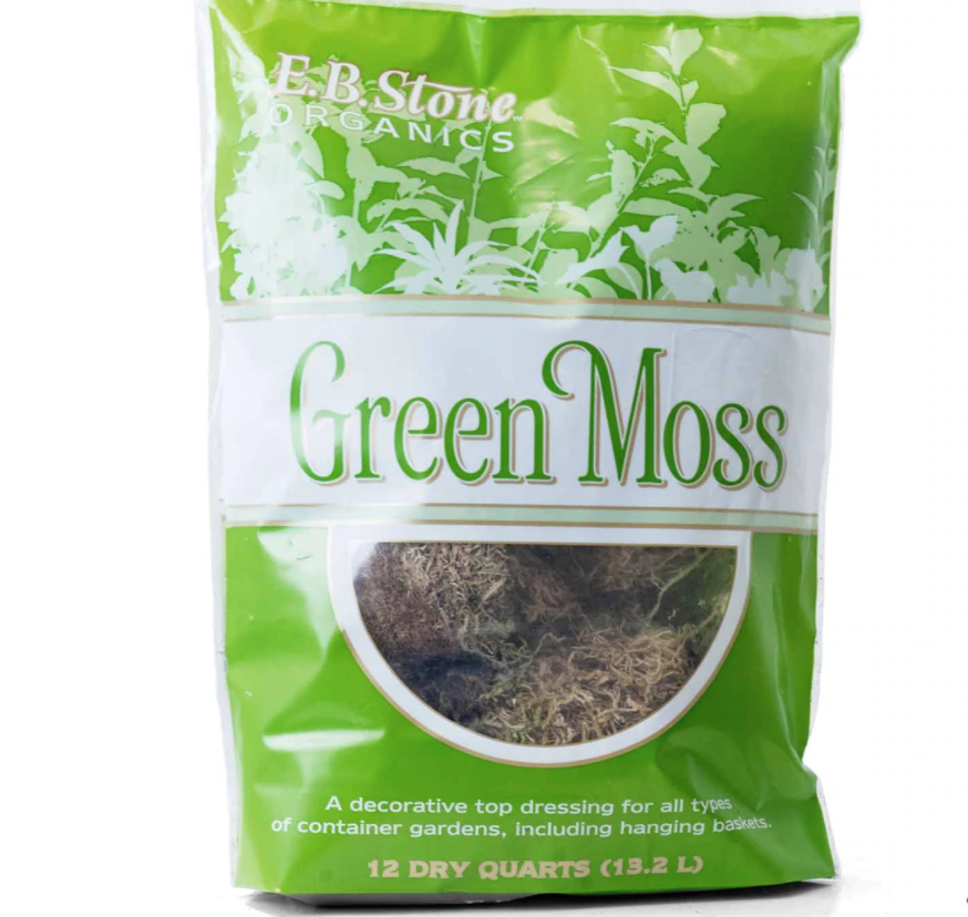 Green Moss