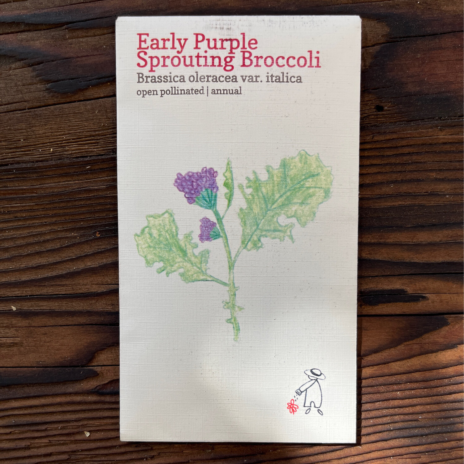 Purple Sprouting Broccoli Seeds