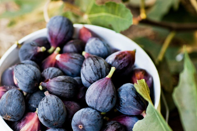 Fig &#39;Black Mission&#39; - 1 Gal 