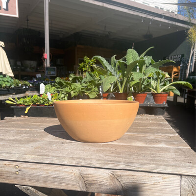 10&quot; Low Bowl - Smooth