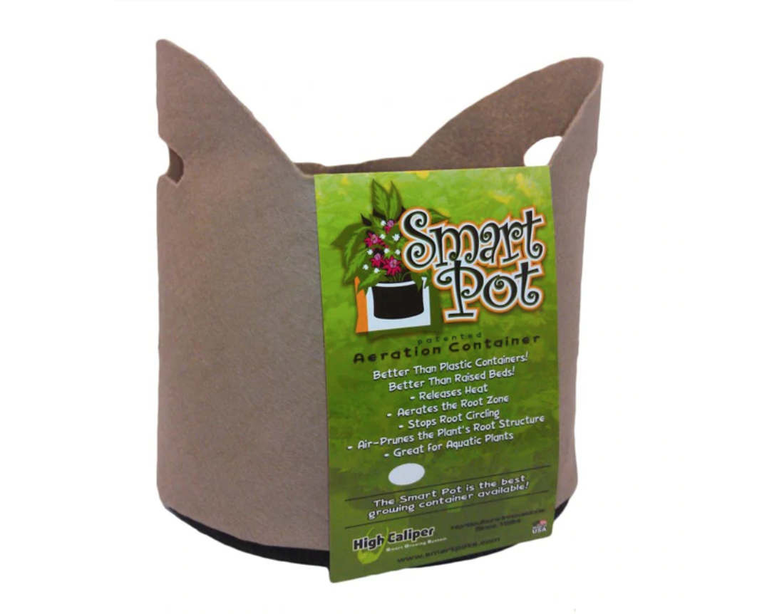 Smart Pot #5 - Natural Cut Handles