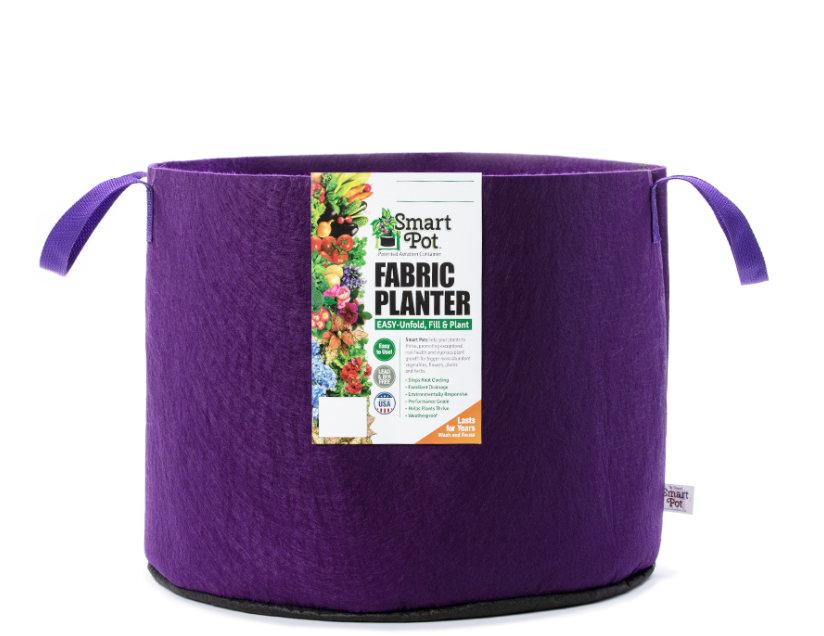 Smart Pot - 3G Violet w/ Handles