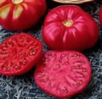 Aunt Ginny&#39;s Purple Tomato - 4&quot;