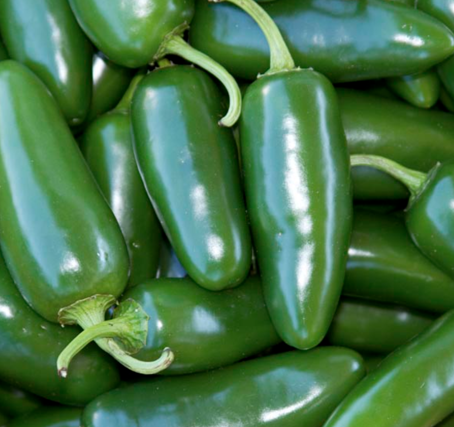 Jalapeno Gigante - 4&quot;