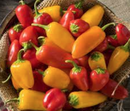 Lunchbox Mix Pepper - OG - 4&quot;