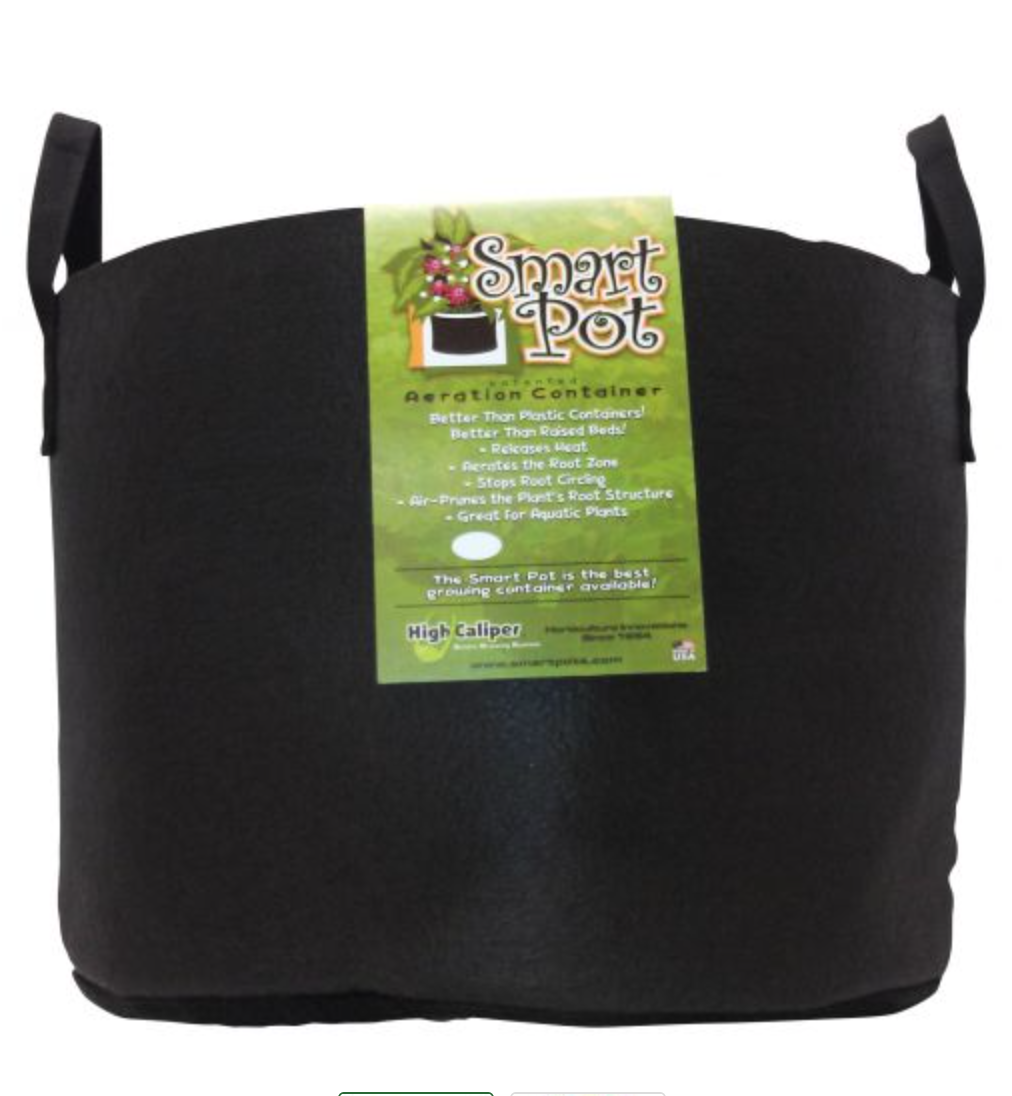 Smart Pot #20 Black w Handles