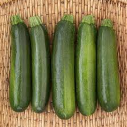 Zucchini Squash (Green) - 4&quot;