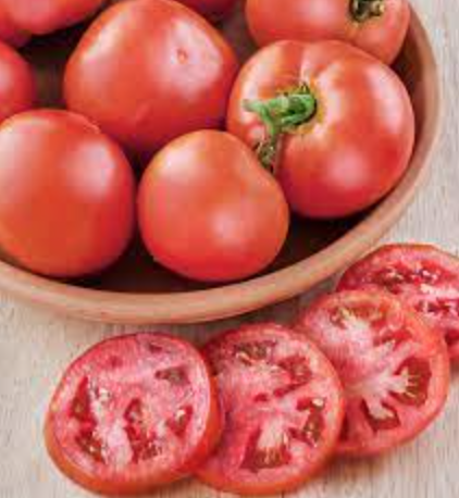 Better Bush Tomato -4&quot;