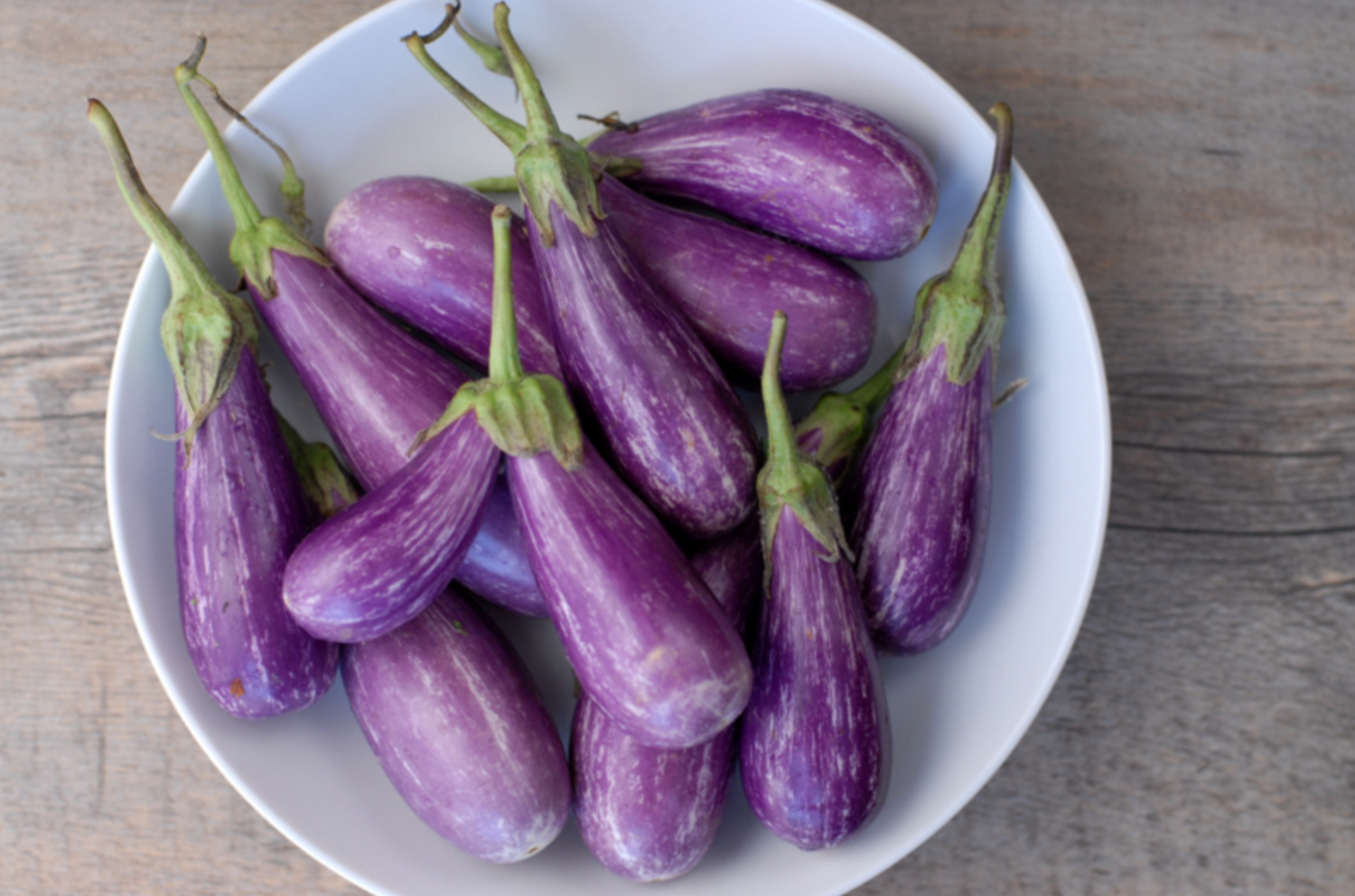 Fairytale Eggplant - 4&quot;
