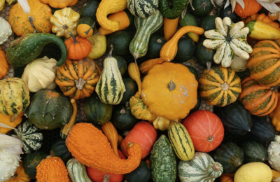 Squash