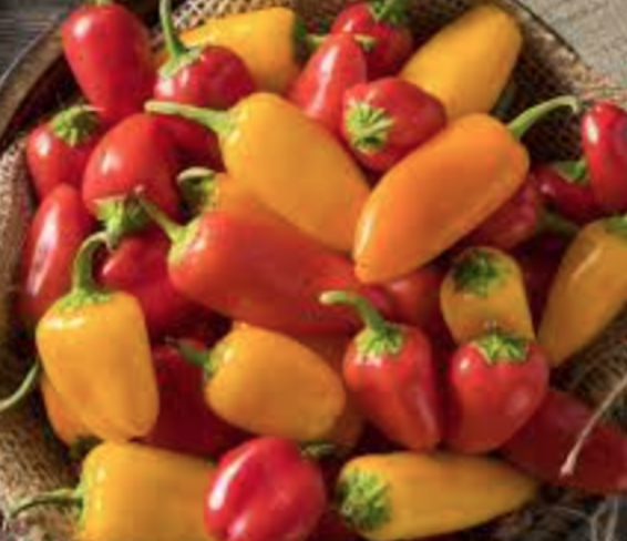 Lunchbox Mix Pepper 1g