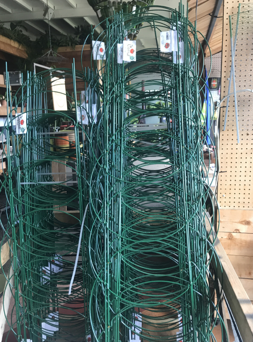 Tomato Corral Cage GREEN - 60&#39;&#39;