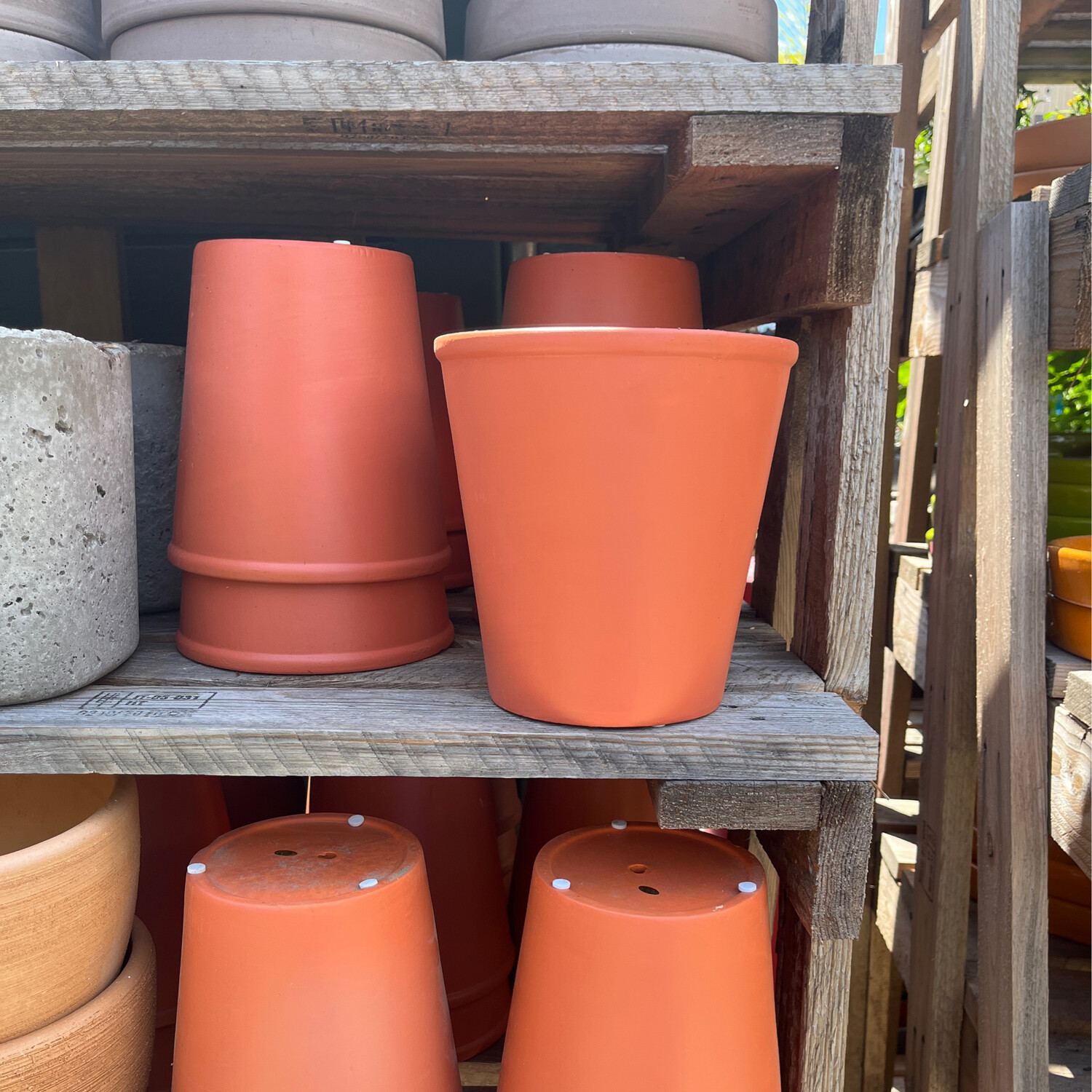 Rimless Terra Cotta Planter - 6&quot;