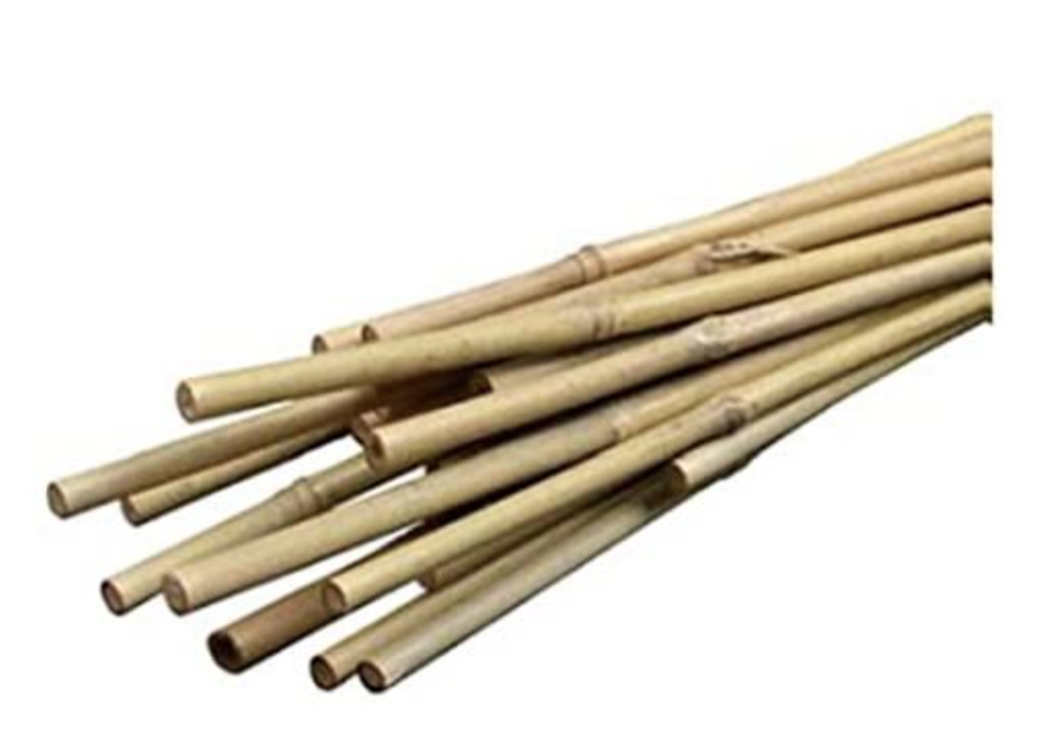 BOND Natural Bamboo Stakes - 8&#39; x 1&#39;