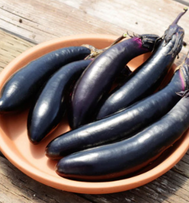Eggplant &#39;Millionaire&#39; - 4&quot;