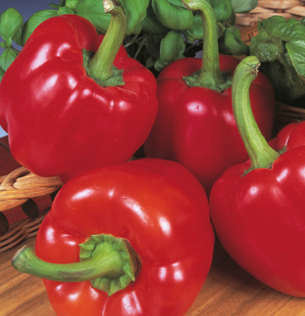 Bell Pepper Red Beauty&#39; - 1g