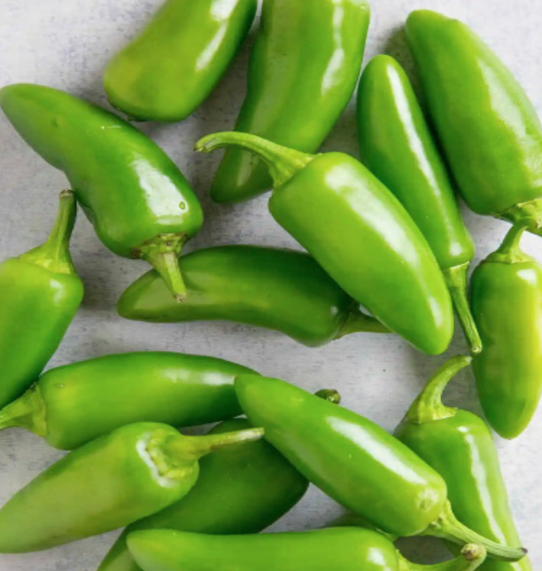 Jalapeno OG - 4&quot;