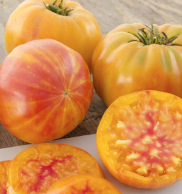 Big Rainbow Tomato