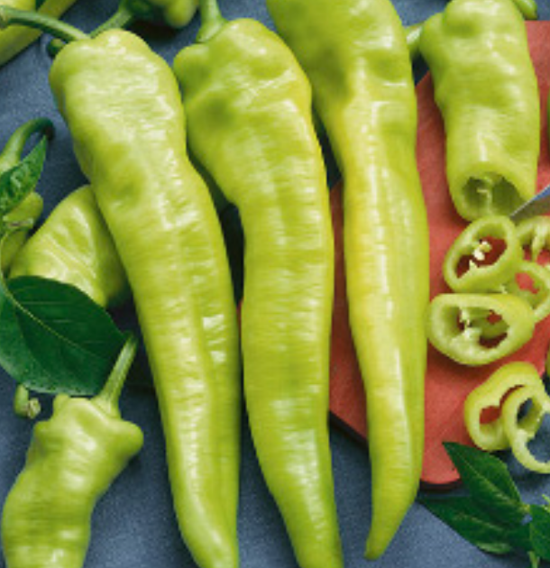 Hungarian Yellow Hot Wax Pepper - 4&quot;