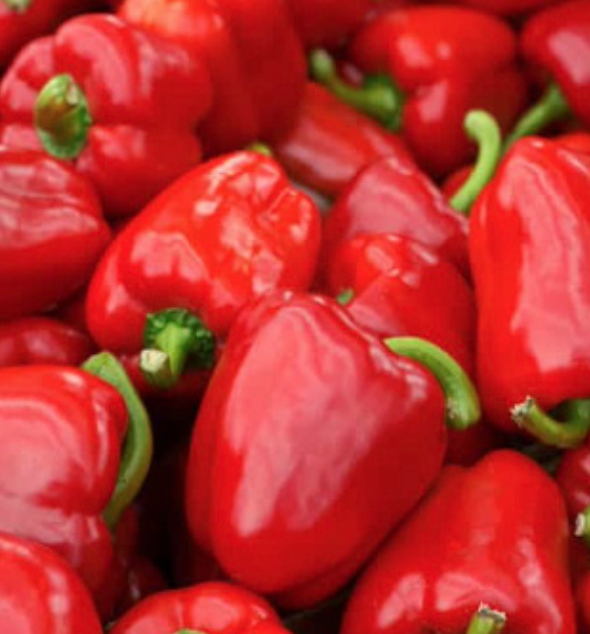 Pimento Chili Pepper - 4&quot;
